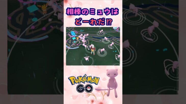 相棒のミュウはどれでしょう⁉【ポケモンGO】