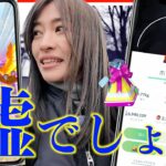 嘘でしょ!!!?復刻キョダイマックスとホゲータのコミュニティデイをやってたら・・・【ポケモンGO】