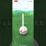 高個体値が欲しい#ポケモン#ポケモンGO#キュレム