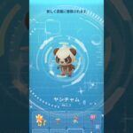 【ポケモンGO】ベアーバディリサーチデイで捕まえた色違いポケモン #ポケモン #ポケモンgo