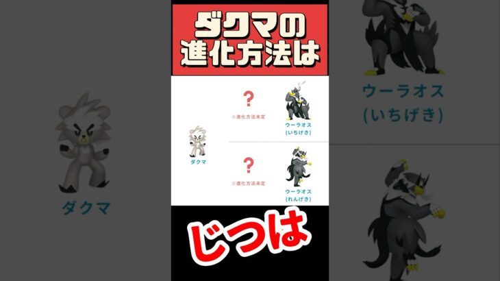 【ポケモンGO】ダクマ進化の瞬間！ダクマの進化のひみつとアメ集めタスク一覧！ #pokemongo #ダクマ進化方法 #shorts
