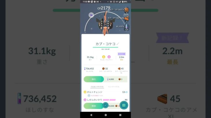 ポケモンGO『カプコケコ色違いGET！』