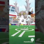 ［ポケモンGO］初心者がMカイロス一人討伐してみた！ #ポケモンgoレイド