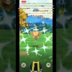✨【ポケモンGO】【激レア】【連日神引き色違い】【初図鑑登録ヌケニン】📹💎🔮❤️‍🔥😉🤗🥰🐺😎✨応援良かったら✨YouTubeチャンネル登録下さいね🥰✨#ポケモンgo #ポケモン