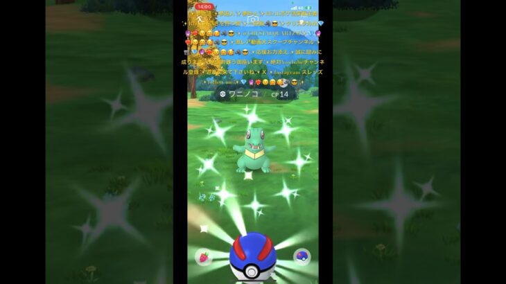 ✨【ポケモンGO】【世界最速】【色違いワニノコ】【コミュニティデイ】【開始時刻】【１４時】🐊📹💎🔮❤️‍🔥😉🤗🐺🥰😎✨開始ワンタップ色違い降臨です✨　#ポケモンgo #ポケモン