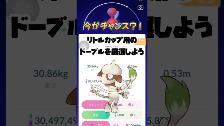 【ポケモンGO】今がシャッターチャンス？！【ドーブル】の厳選を楽しもう♪#ポケモンgo #shorts #ドーブル