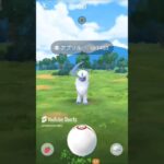 メガアブソルレイドデイ予習編!　メガアブソルソロ討伐！　ポケモンGOレイド　#pokemon #pokemongo  #shorts