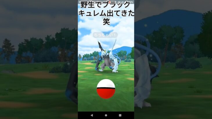 ブラックキュレム大量発生! !      #イッシュツアー #ポケモンgo   #高校生 #ブラックキュレム         #キュレム #野生の伝説ポケモン    #毎日投稿 #高校生