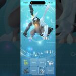 ブラックキュレムゲット！#ポケモンgo #キュレム #ゼクロム