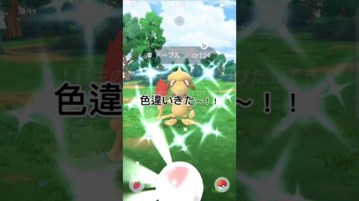 色違いドーブルゲット！！個体値がまさかの…！？#ポケモン #ポケモンgo #ドーブル