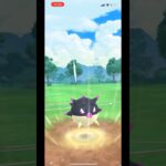 ハリーセンが強すぎる🐡 #ポケモン #ポケモンgo #ポケモンgo好きと繋がりたい #ポケモンgo