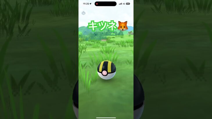 #ポケットモンスター #ポケモン #ポケモンgo #pokemongo クスネ登場