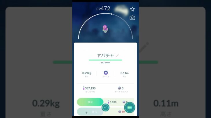 【 ポケモンgo 】 ウィロー博士『 ヤバチャ 』→ チームインスティンクト リーダー スパーク『がんさくフォルムのヤバチャだぜ！』【 うさぴよの巣 】#pokemongo