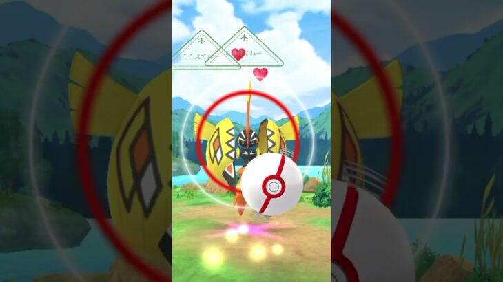 #ポケモンgo  カプコケコ #レイド #pokemongo