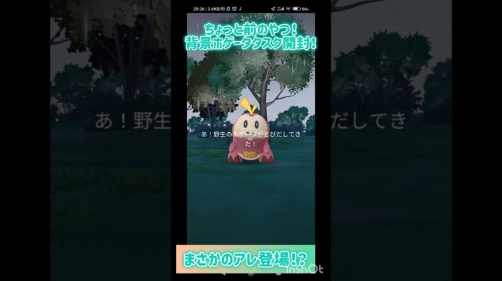 まさか…来てしまうとは。#ポケモンgo #ホゲータ #色違い #色背景 #shorts