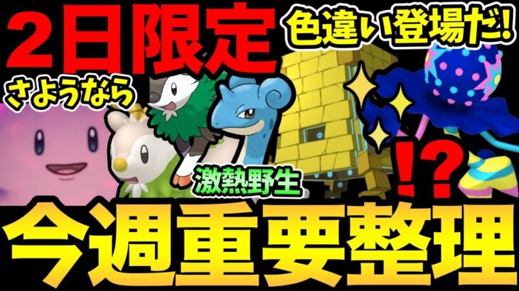 2日限定の激熱を見逃すな！地域限定がまもなく配布！今週も大忙し！新色違いに新ポケ実装も！そしてさようなら…ラッキー。【 ポケモンGO 】【 GOバトルリーグ 】【 GBL 】【 スーパーリーグ 】