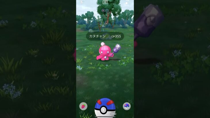 【ポケモンGO】 カヌチャン（通常色） 捕獲動画！！