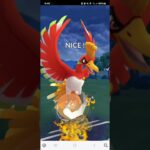 ポケモンGO 通常マスターリーグ ホウオウ、グラードン、ネクロズマ(たそがれ)