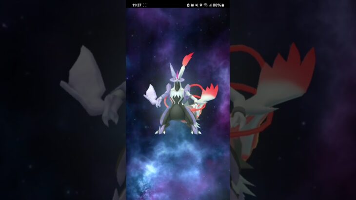 ポケモンGO キュレム&レシラム合体
