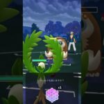 [マスタープレミア]ポケモンGO やっぱりオリーヴァめっちゃ刺さってる！#ポケモンgo #ポケモンgoバトルリーグ #ポケモン #pokemongo #オリーヴァ #サーフゴー #ヌメルゴン