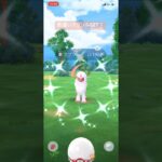 ポケモンGO色違いアブソルGET！#ポケモン #ポケモンgo #pokemongo