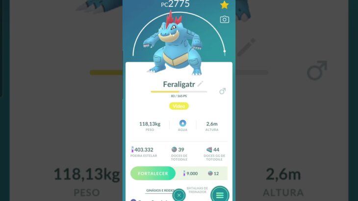 Pokemon GO