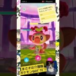 【Pokémon GOポケポケ】色違いタブンネGETだぜ「メガタブンネ・レイドデイ」feat.無印良品のたこめし美味いwith保護猫天音ちゃんとチョッピー君#ポケモンGO#ポケポケ#タブンネ#無印良品