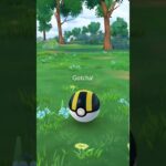 Pokemon Go Catch!       #shorts #pokemon #pokemongo #gottacatchemall