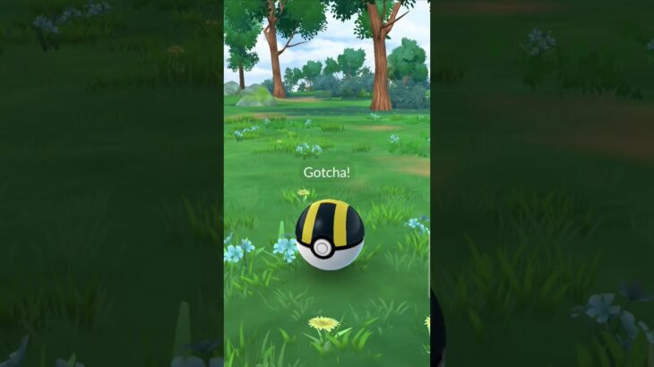 Pokemon Go Catch!       #shorts #pokemon #pokemongo #gottacatchemall