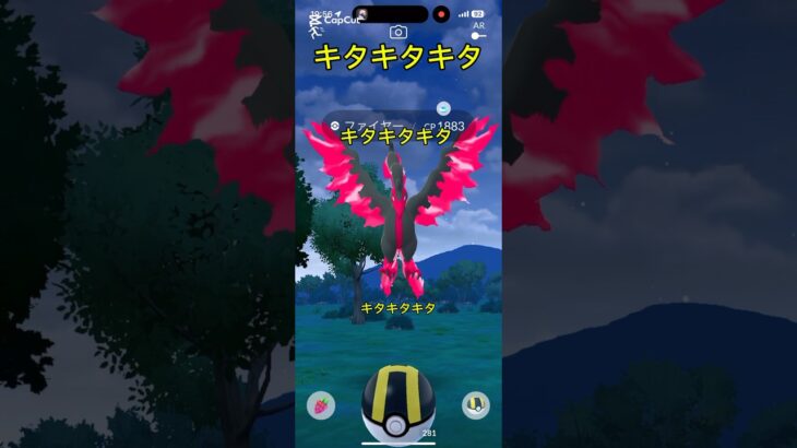【ガラル】 #ポケモン #ポケモンgo #ガラル三鳥  色違い欲しかったなぁ