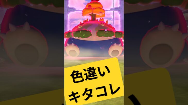 カビゴンの色違いちゃんと珍しく出せていた件 #ポケモンgo #色違い #色違いレイド #キョダイマックス #カビゴン