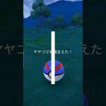 焦って動画回した（笑）#ポケモンgo