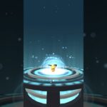 【 ポケモンgo 】 ピチュー →ピカチュウ ！【 うさぴよの巣 】#pichu #pikachu #pokemongo 国際こどもの本の日 という事なので！