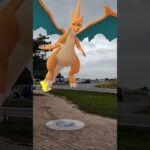 #ポケモンgo ＃pokemonGo＃ポケフタ＃徳島県鳴門市＃リザードン＃スイクン