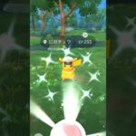 キャプテンピカチュウの色違いゲットした！ #shorts #ポケモンgo #色違いポケモン
