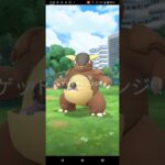 メガガルーラのレイドデイ、色違い&100%ゲット！　#ポケモンGO