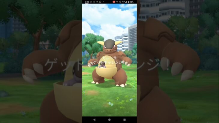 メガガルーラのレイドデイ、色違い&100%ゲット！　#ポケモンGO