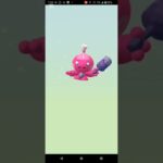 10キロ卵4連　#ポケモンGO
