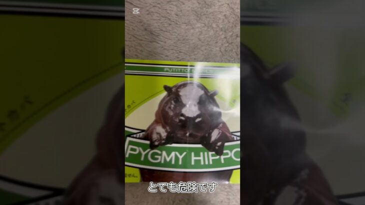 【ガチャ替え歌2】動物のカバさんの事もっと知って欲しいな＃shorts