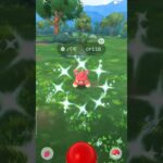 3匹目！#ポケモンgo