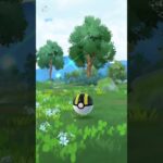 4匹目！#ポケモンgo