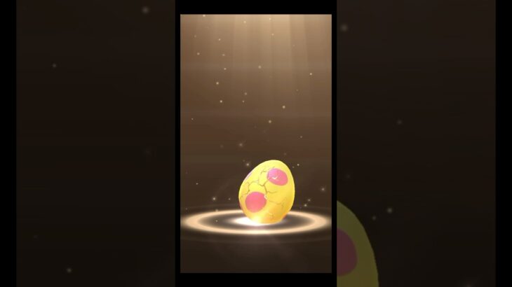 7kmたまごから色違い孵化 #ポケモンgo