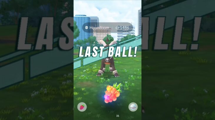 Can I Got😱Mega Houndoom riads in pokemon go