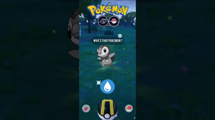 Captured Shiny water type pokemon pokemongo #ポケモンgo #pokemon #pokemongo #shinypokemon #raidbattle