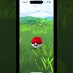 Catching New in Pokemon Go #pokemon #pokemongo