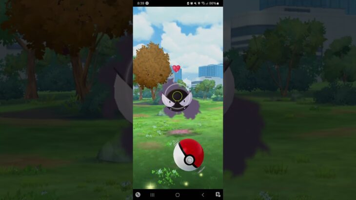 Daily Pokémon Catching in Pokémon GO (Day 116) #shorts #shortsfeeds #pokemongo #Pokémon #games