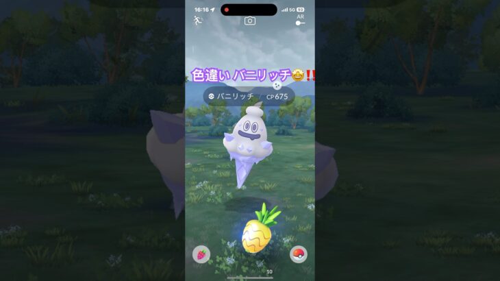 色違い バニリッチ🤩‼️ ポケモンGO