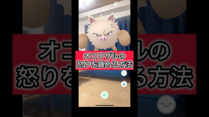 オコリザルの怒りを鎮める方法#ポケモン #ポケポケ #ポケモンGO