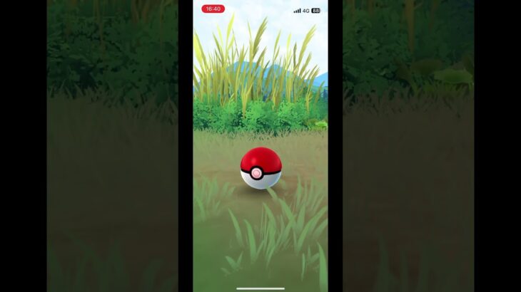 【ポケモンGO】　シママ電気ビリビリ💡