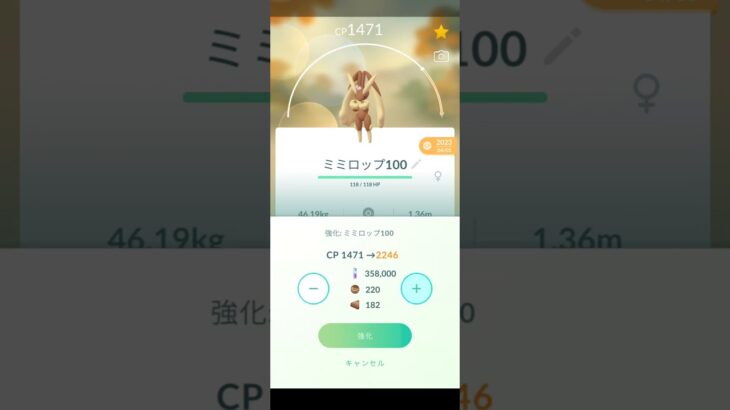 ポケモンGOミミロップを強化していくよ〜↗️
